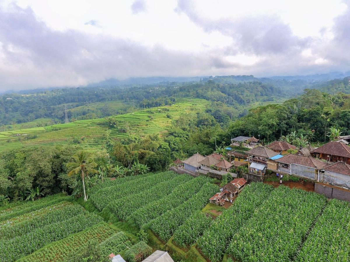 Pondok Nyoman Bedugul By Agata Luaran gambar